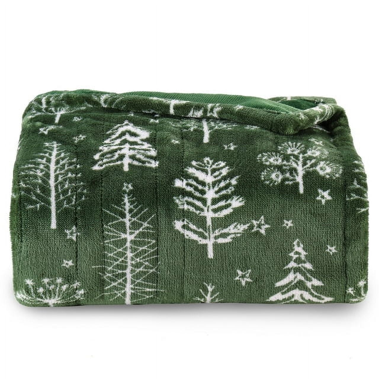 Superjoe Electric Throw Heated Blanket, Double-Layer Flannel, 4 Heat Settings and Auto-off, 60" x 50", Green